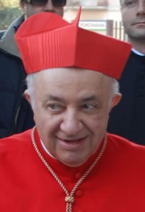 Il Cardinale Dionigi Tettamanzi